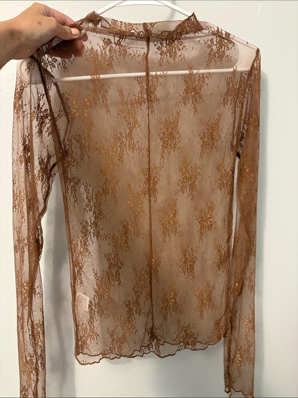 Sheer Lace Long-Sleeve Top - Brown